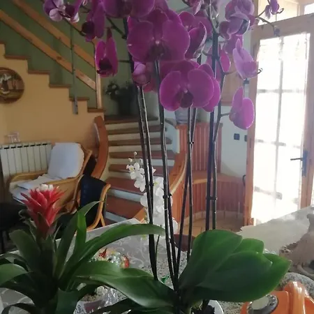 Passo Del Falco 3* Sorianello