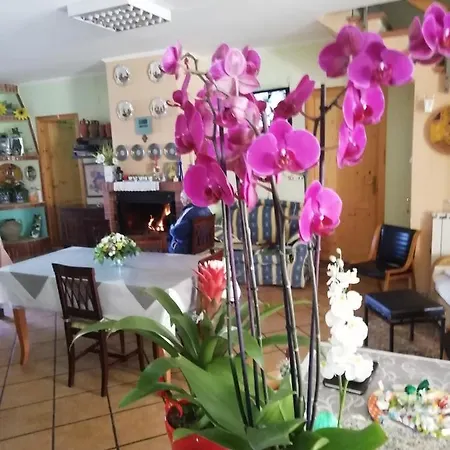 Passo Del Falco Bed & Breakfast Sorianello