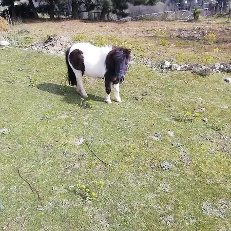 Passo Del Falco