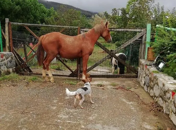 Passo Del Falco Sorianello