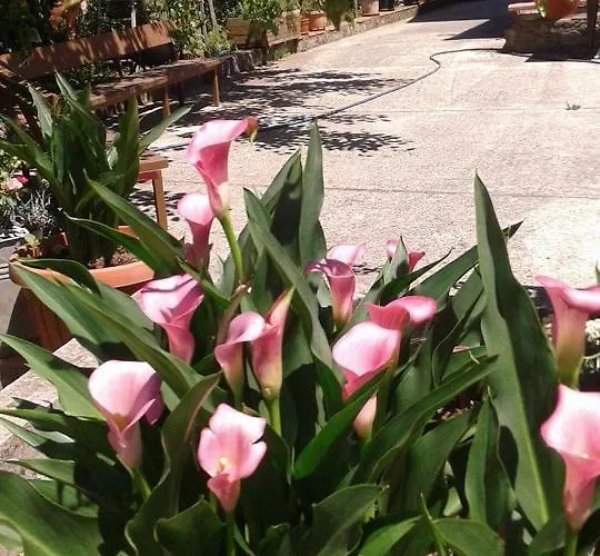 Alojamento de Acomodação e Pequeno-almoço Passo Del Falco 3*