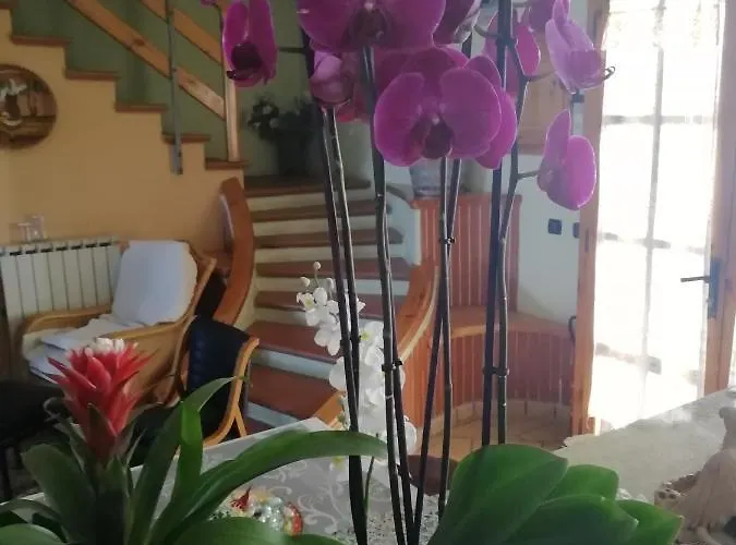 Passo Del Falco 3* Sorianello