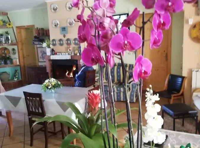 Passo Del Falco Alojamento de Acomodação e Pequeno-almoço Sorianello