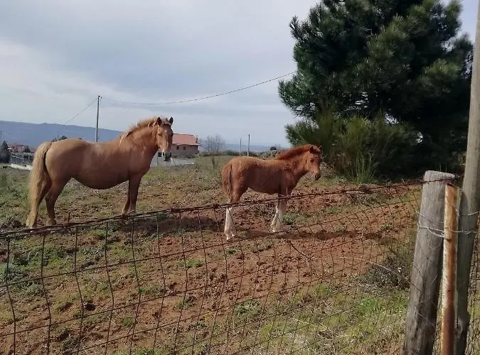 Passo Del Falco Sorianello